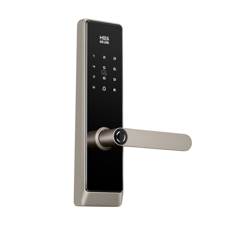 Four-in-One Smart Lock