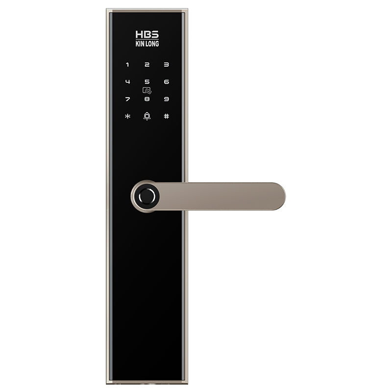 Four-in-One Smart Lock