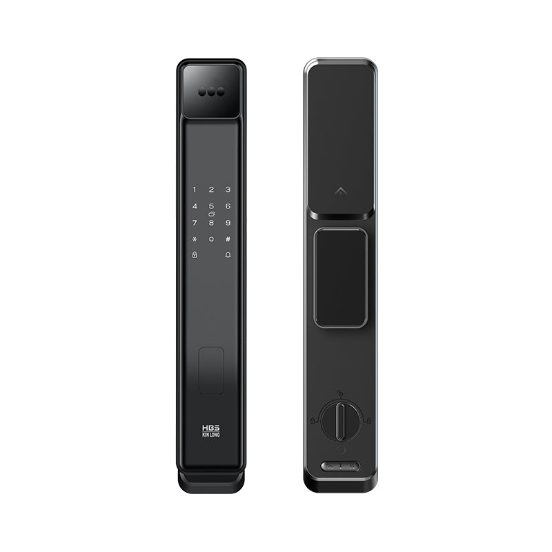 Four-in-One Face Recognition Smart Lock
