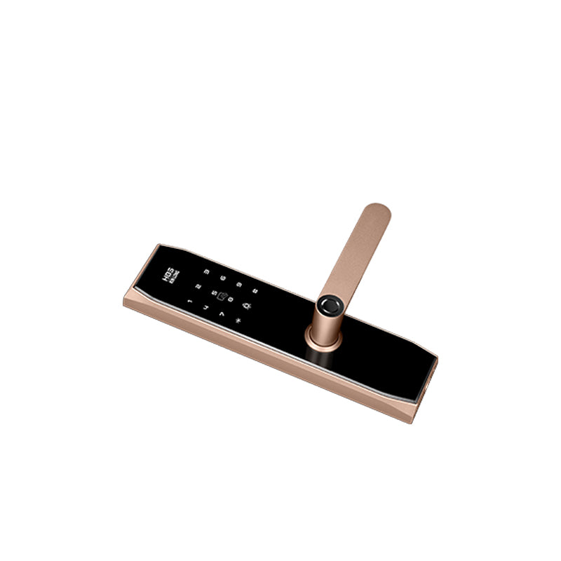 Four-in-One Smart Lock