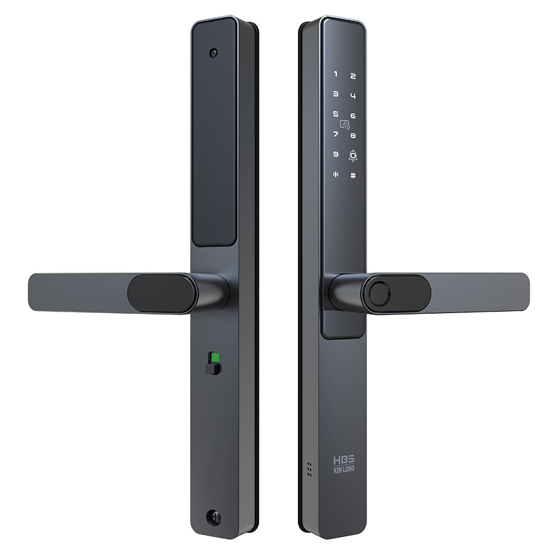 Four-in-One Smart Lock