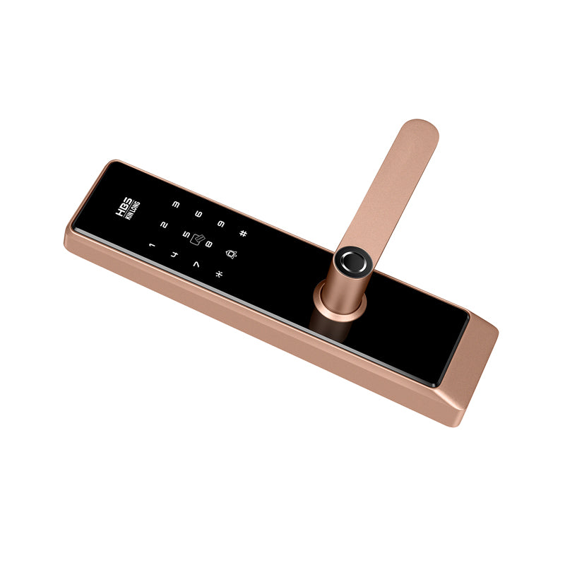 Four-in-One Smart Lock