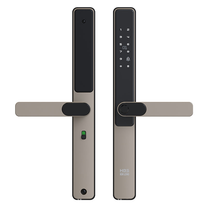 Four-in-One Smart Lock