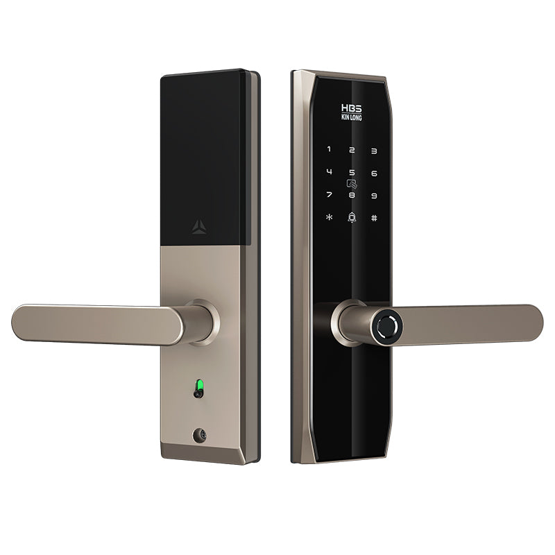 Four-in-One Smart Lock
