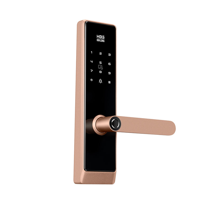 Four-in-One Smart Lock