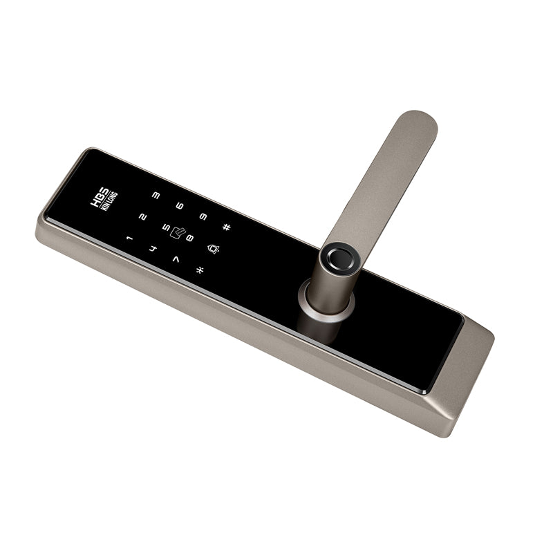 Four-in-One Smart Lock