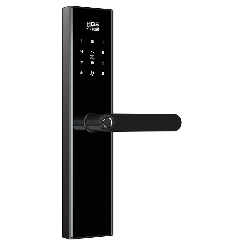 Four-in-One Smart Lock