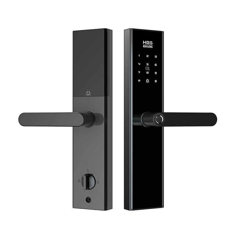 Four-in-One Smart Lock
