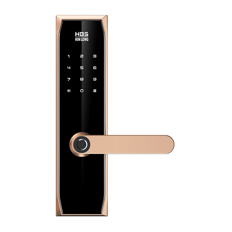 Four-in-One Smart Lock