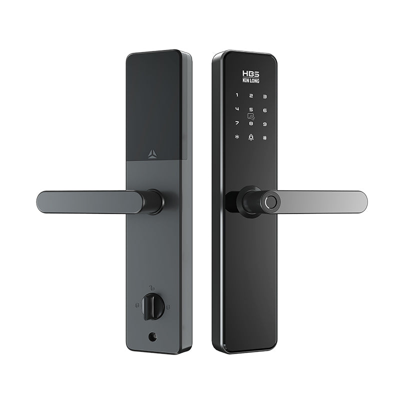 Four-in-One Smart Lock