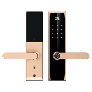 Four-in-One Smart Lock