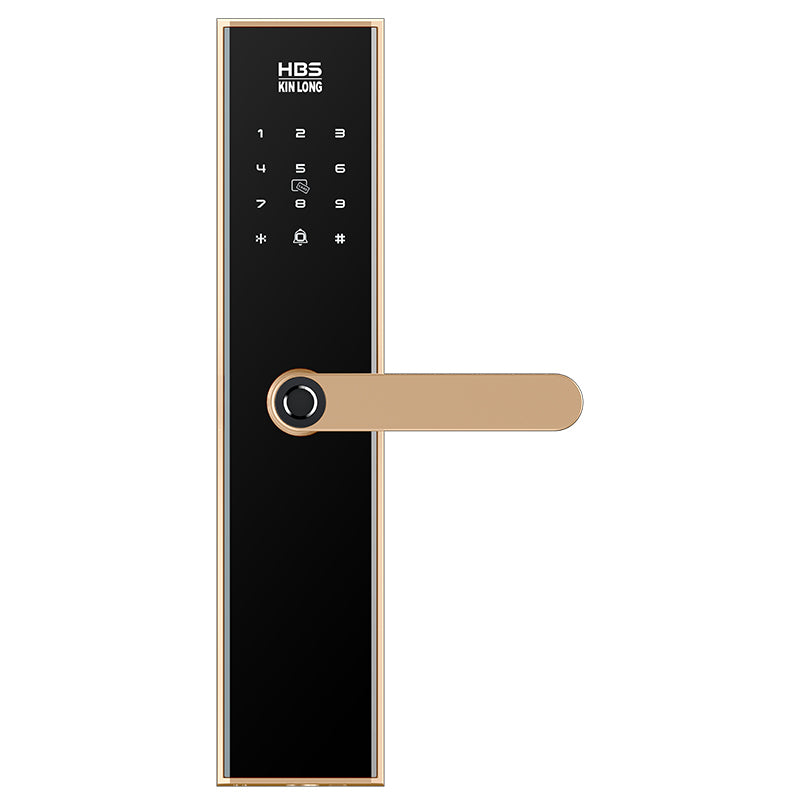 Four-in-One Smart Lock