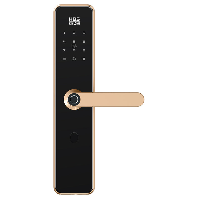Four-in-One Smart Lock