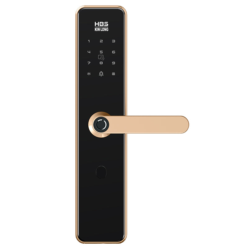 Four-in-One Smart Lock