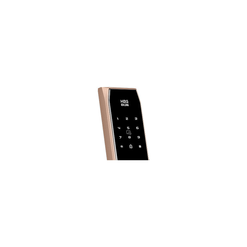 Four-in-One Smart Lock
