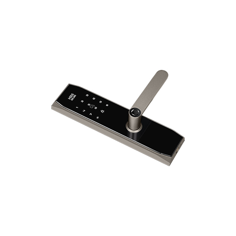 Four-in-One Smart Lock