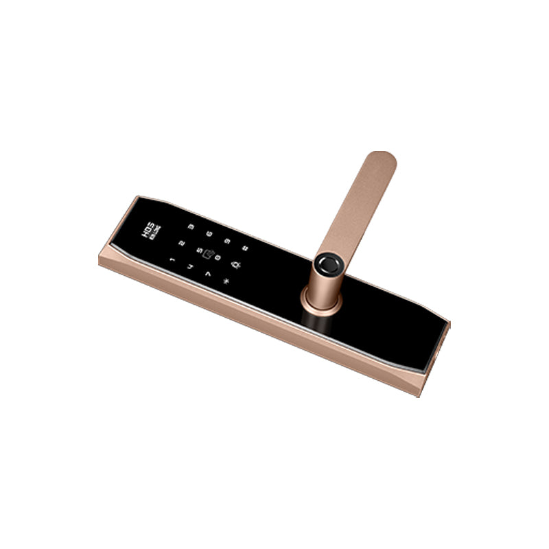 Four-in-One Smart Lock