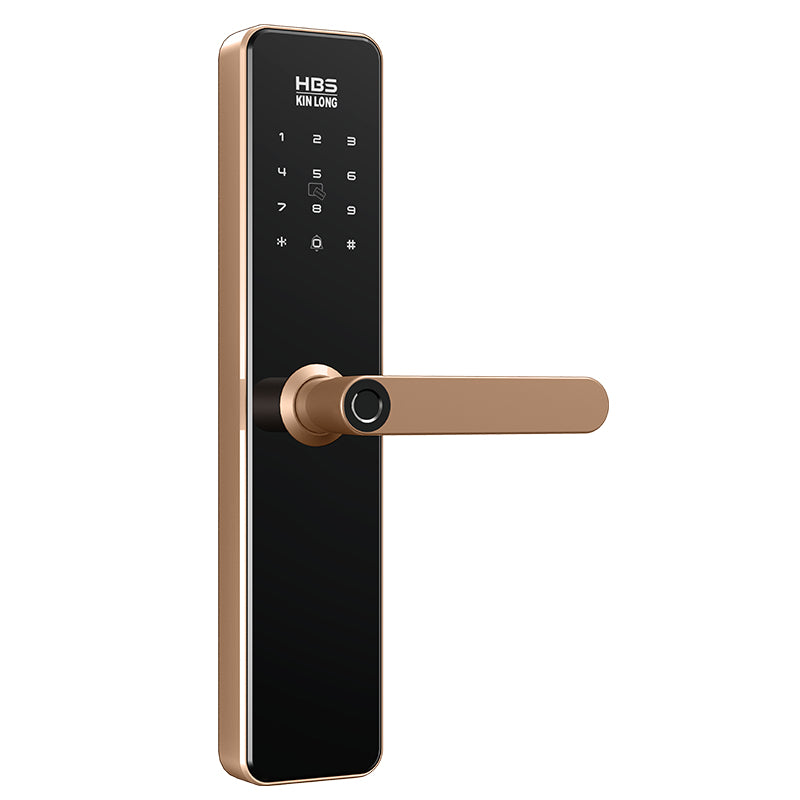 Four-in-One Smart Lock