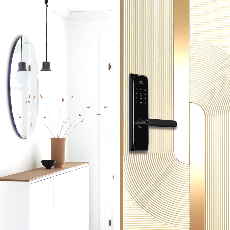 Four-in-One Smart Lock