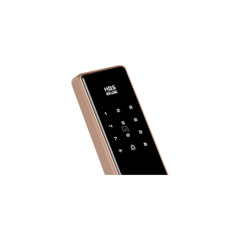 Four-in-One Smart Lock