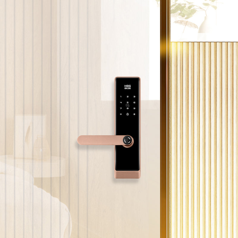 Four-in-One Smart Lock