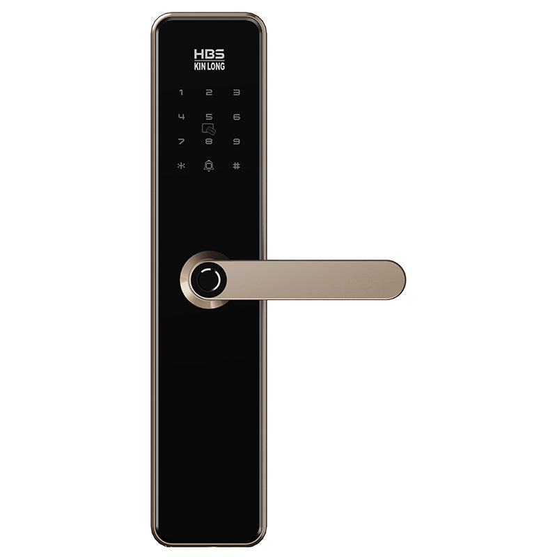 Four-in-One Smart Lock