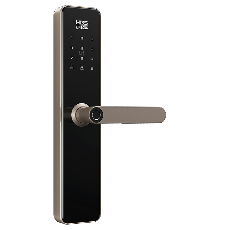 Four-in-One Smart Lock