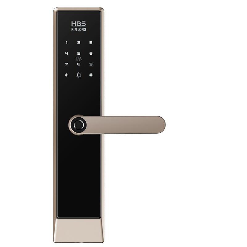 Four-in-One Smart Lock