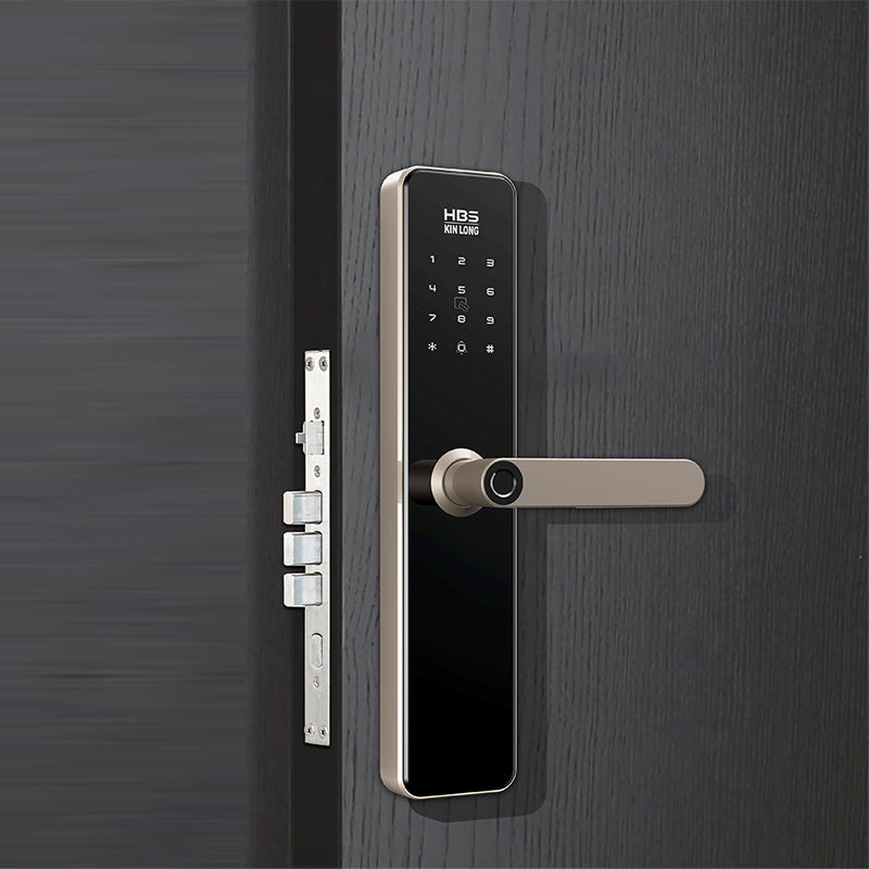 Four-in-One Smart Lock