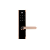 Four-in-One Smart Lock