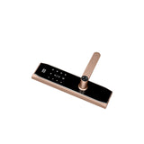 Four-in-One Smart Lock