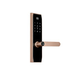 Four-in-One Smart Lock