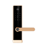 Four-in-One Smart Lock