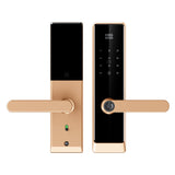 Four-in-One Smart Lock