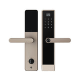 Four-in-One Smart Lock