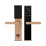 Four-in-One Smart Lock
