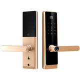 Four-in-One Smart Lock