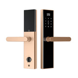 Four-in-One Smart Lock