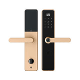 Four-in-One Smart Lock