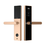 Four-in-One Smart Lock