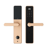 Four-in-One Smart Lock