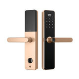 Four-in-One Smart Lock