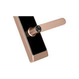 Four-in-One Smart Lock