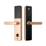 Four-in-One Smart Lock