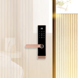 Four-in-One Smart Lock