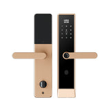 Four-in-One Smart Lock