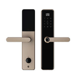 Four-in-One Smart Lock