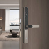 Four-in-One Smart Lock